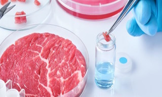 Лабораторный анализ пищевых продуктов по СанПиН в Стрежевом в октябре