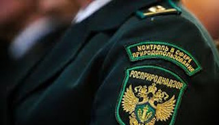 Подготовка к проверке Росприроднадзора в Стрежевом от ПромМир-Стж, стоимость услуги от 20390 руб.